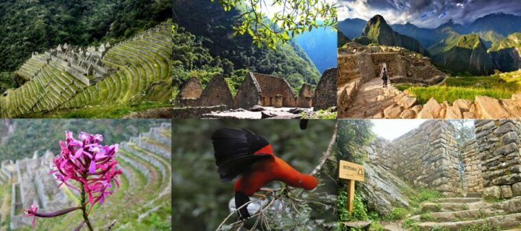smoll-group-inca-trail-2-days-new-route-to-machu-picchu