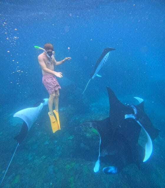 snorkeling-activities-western-side-nusa-penida-tour