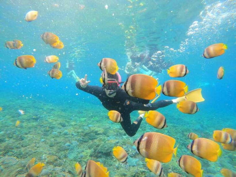 snorkeling-adventure-with-lucky-snorkeling