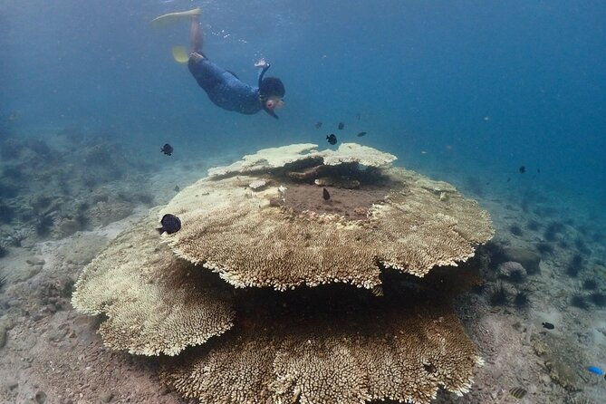 Snorkeling Full Day Experience from Bangkok - FAQ