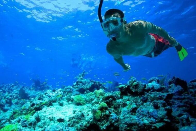 snorkeling-in-port-city