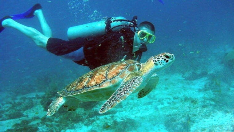 snorkeling-or-scuba-diving-in-cham-islands