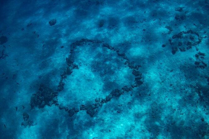 Snorkeling Tour in Tahiti on Punaauia - Final Thoughts