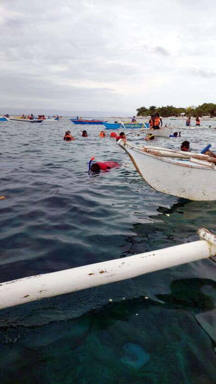 snorkeling-with-turtles-sardines-secret-cave-and-atv