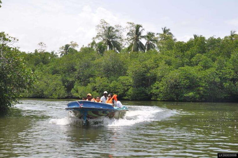 southern-sri-lanka-sea-sand-marine-life-2-day-tour