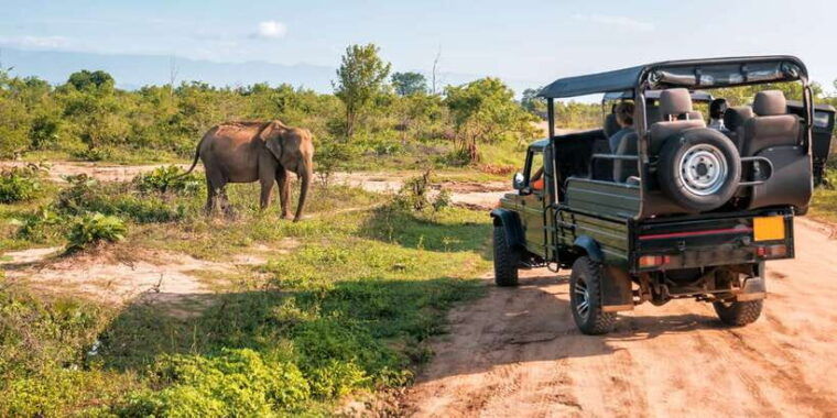 sri-lanka-2-day-wildlife-tour-rainforest-and-national-park