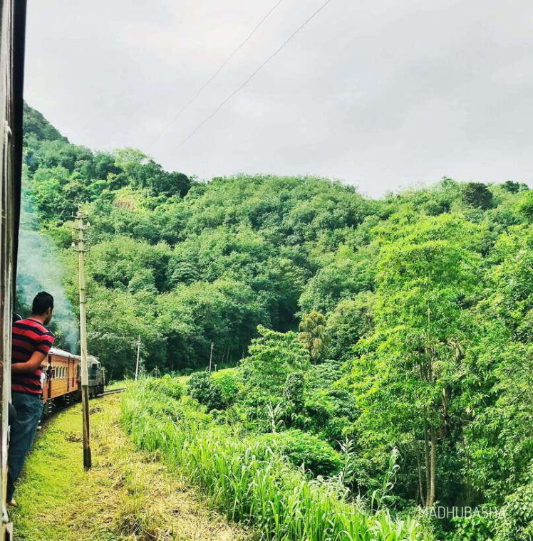 sri-lanka-3-day-cultural-triangle-hill-country-train-tour