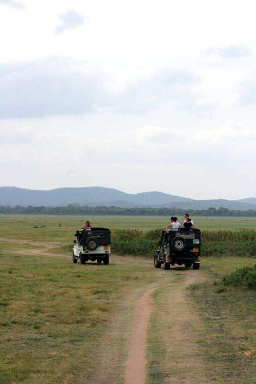 sri-lanka-ancient-wonders-sigiriya-kandy-dambulla-2-day