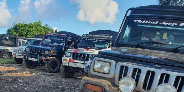 sri-lanka-elephant-safari-adventure-with-hotel-pickup