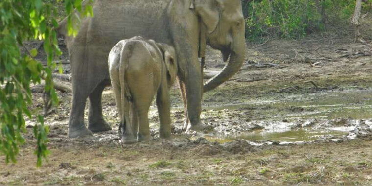 srilanka-discover-your-amazing-time-with-expert-guide