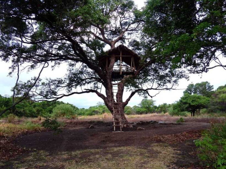 starlit-escape-stargazing-from-a-tree-hut-in-sigiriya