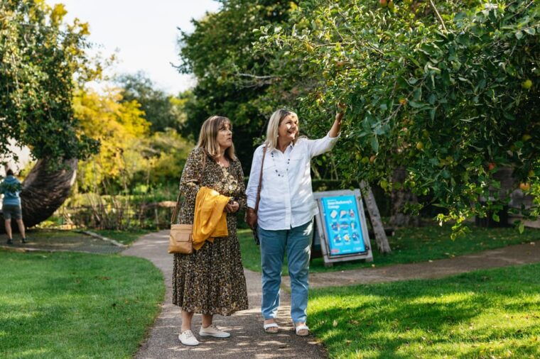 stratford-upon-avon-anne-hathaways-cottage-entry-ticket
