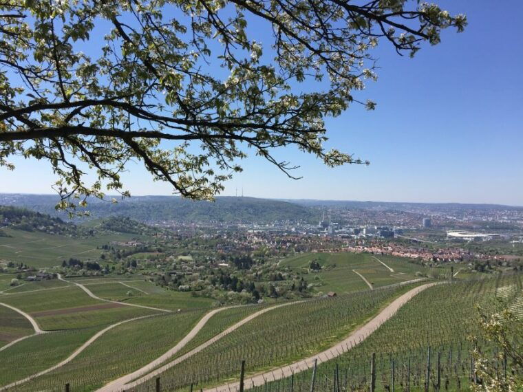 stuttgart-guided-wine-walk-wine-tasting