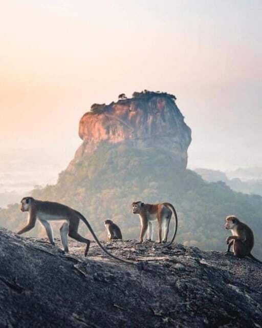 sunrise-sunset-hike-to-sigiriya-or-pidurangala-rock