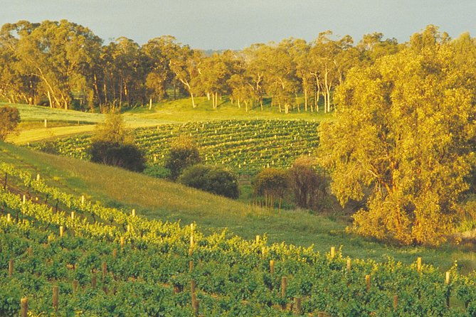 Swan Valley Private Tour - FAQs