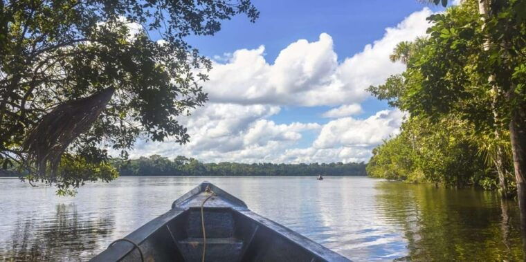 tambopata-macaw-clay-lick-4-days-3-nights-2