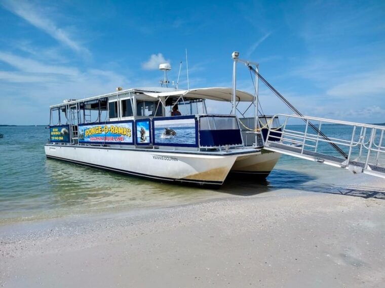 tarpon-springs-evening-dolphin-cruise-2