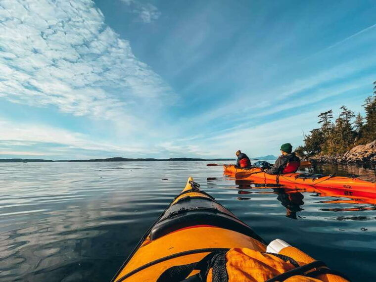 telegraph-cove-2-hour-evening-kayak-tour