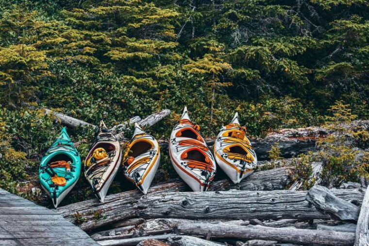 telegraph-cove-2-hour-family-fun-kayaking-tour