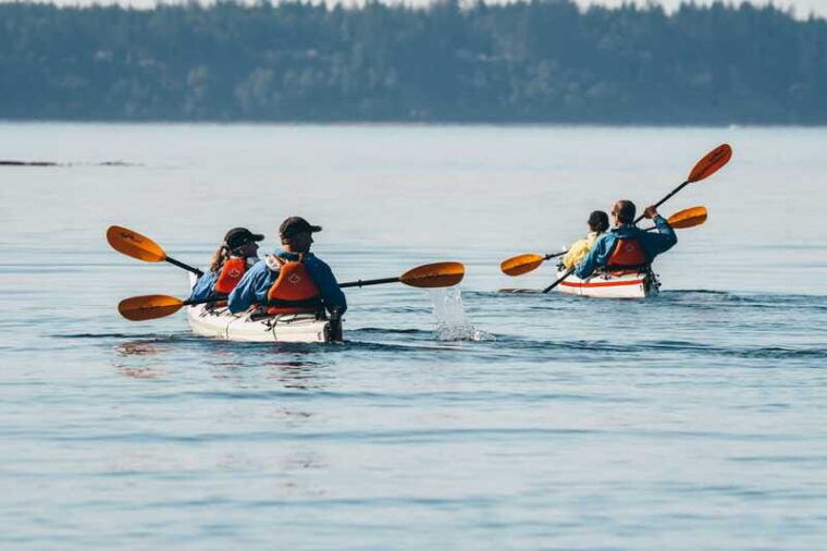telegraph-cove-day-trip-kayaking-tour