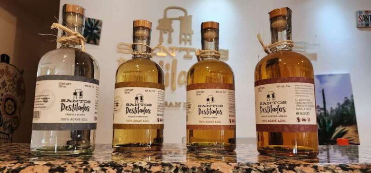 tequila-mezcal-tasting-experience