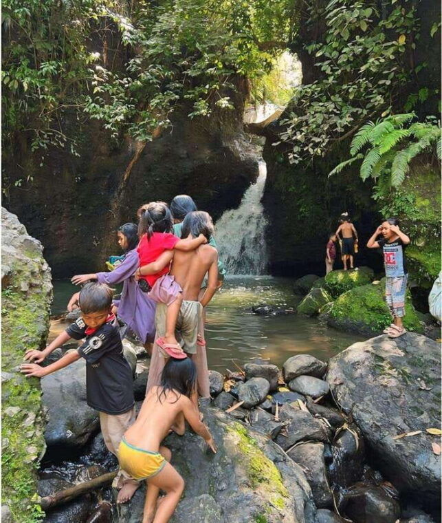 tetebatu-walk-on-rice-terrace-waterfall-and-black-mongky