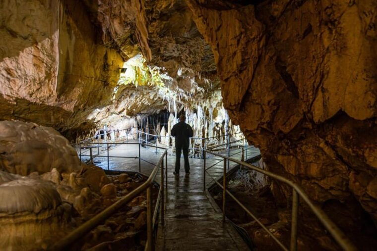 the-bears-cave-1-day-airconditioned-car-tour-from-oradea