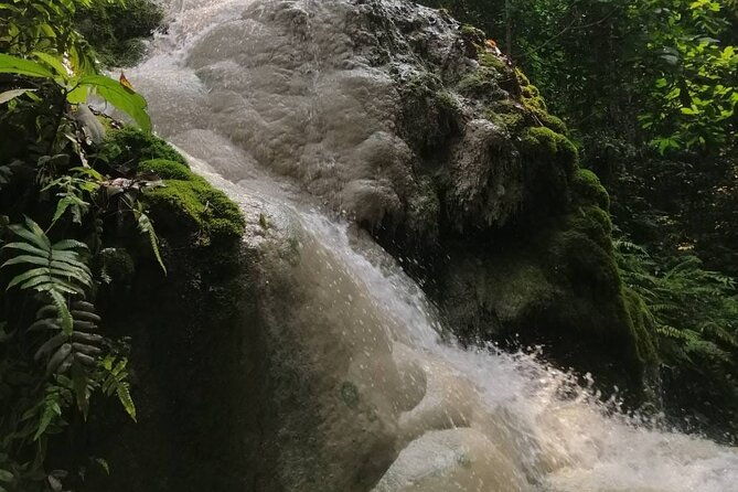 The Best Full Day Tour: Doi Suthep, Wat Phalat, Sticky Waterfall - Who Should Book This Tour?