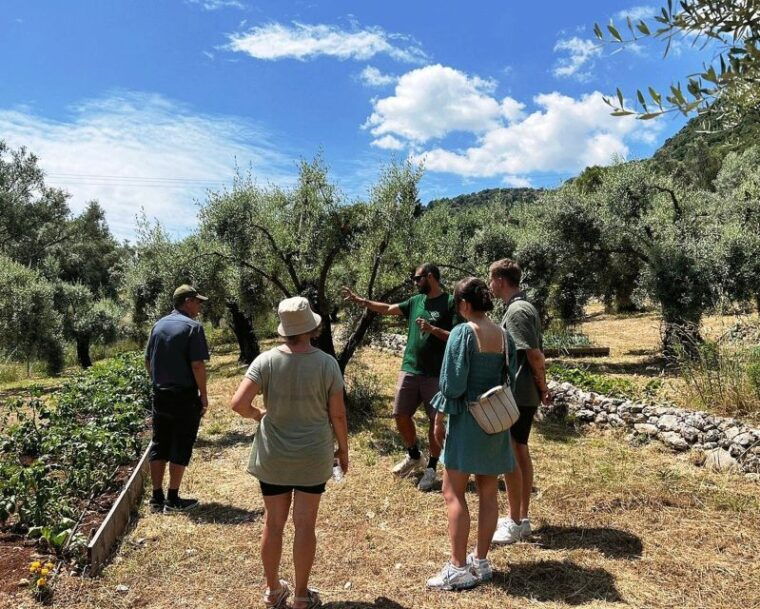 the-olive-oil-experience-lefkada-micro-farm-3
