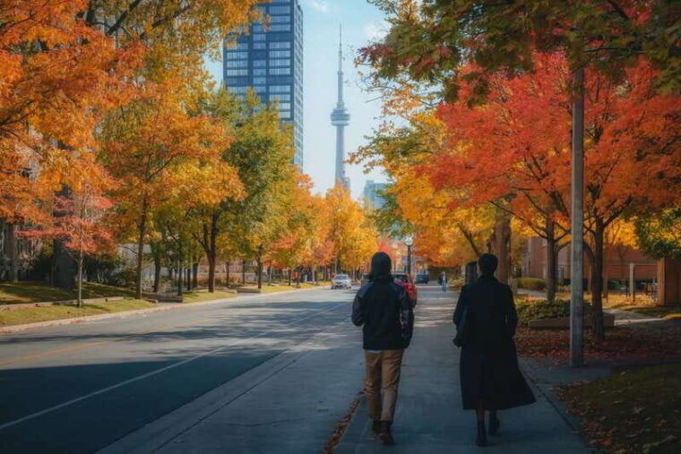 toronto-city-highlights-walking-tour-3-hour