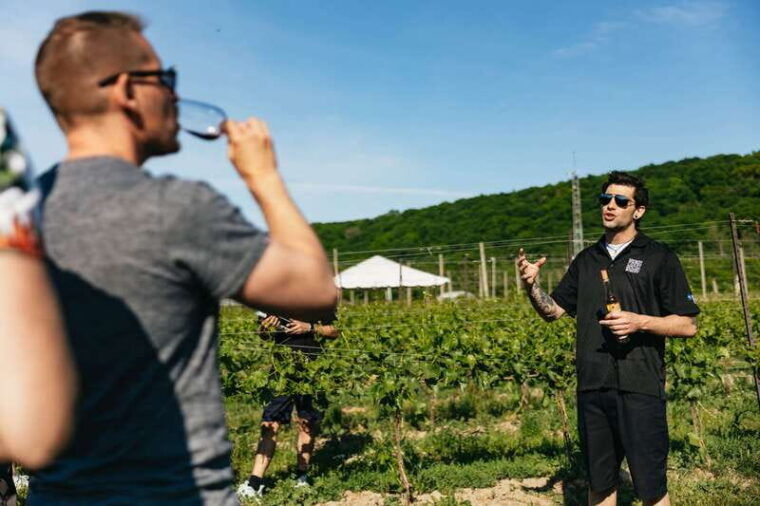 toronto-niagara-falls-with-winery-optional-cruise-lunch