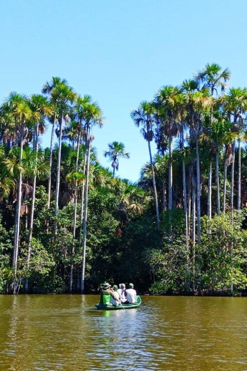 trekking-through-the-jungle-and-lake-sandoval-full-day