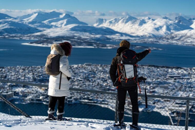 tromso-daytime-fjellheisen-snowshoe-hike-and-cable-car-ride
