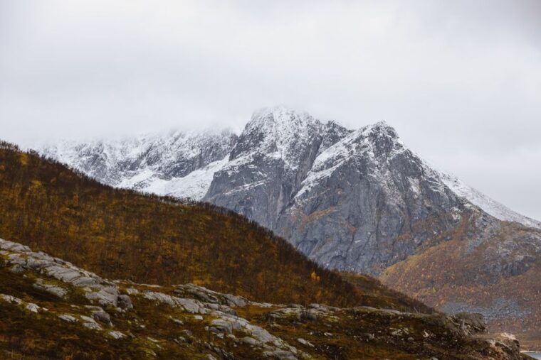 tromso-guided-fjord-expedition-in-kvaloya-with-light-lunch
