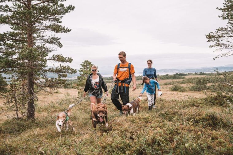 tromso-husky-hike-and-puppy-visit-with-traditional-lunch