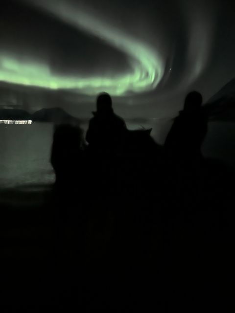 tromso-lyngen-horse-winter-evening-riding-experience