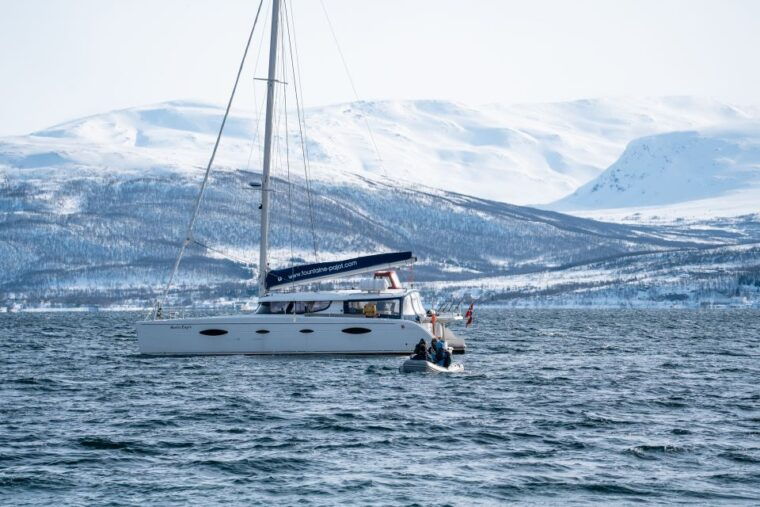 tromso-sightseeing-cruise-by-catamaran-with-snacks-drinks