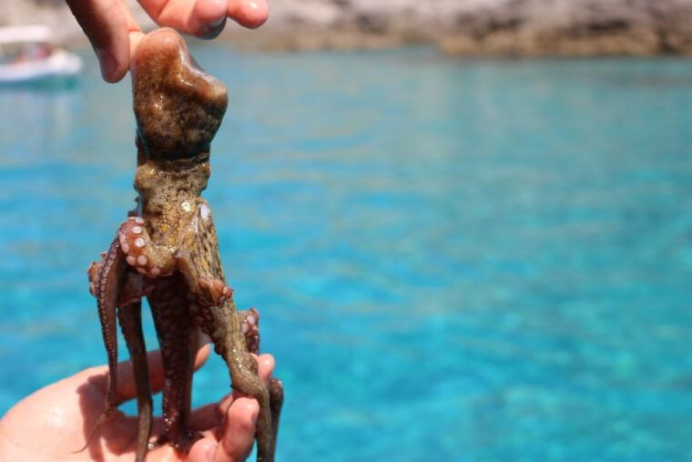 tropea-private-boat-rental-with-skipper-and-snacks