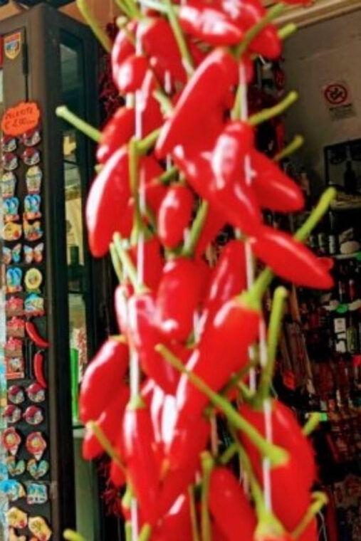 tropea-street-food-walking-tour