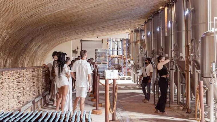 tulum-brewery-tour-beer-flight-tasting-craft-beer