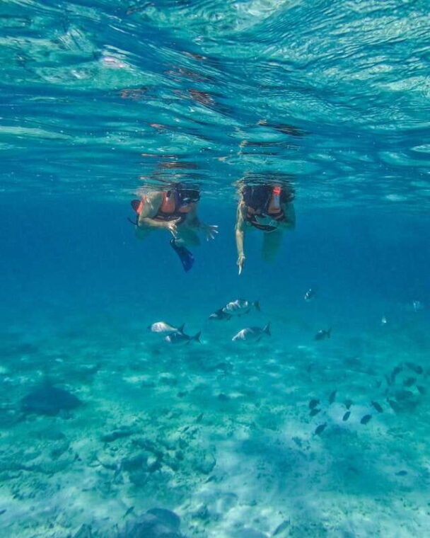 tulum-snorkeling-at-paradise-reef