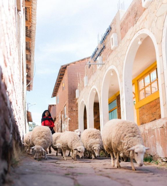 two-day-tour-of-lake-titicaca-with-homestay-in-amantani