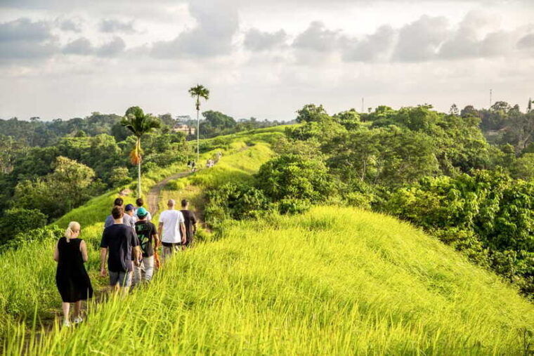 ubud-3-hour-walking-tour-with-lunch