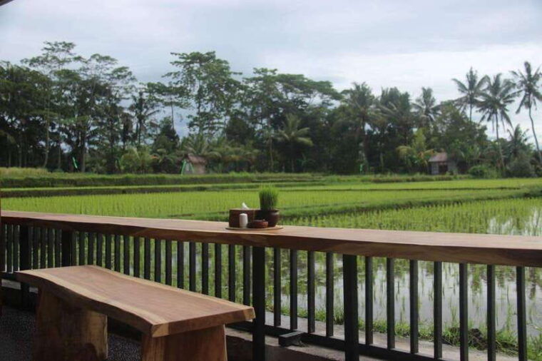 ubud-ayung-river-white-rafting-with-lunch-and-transfer