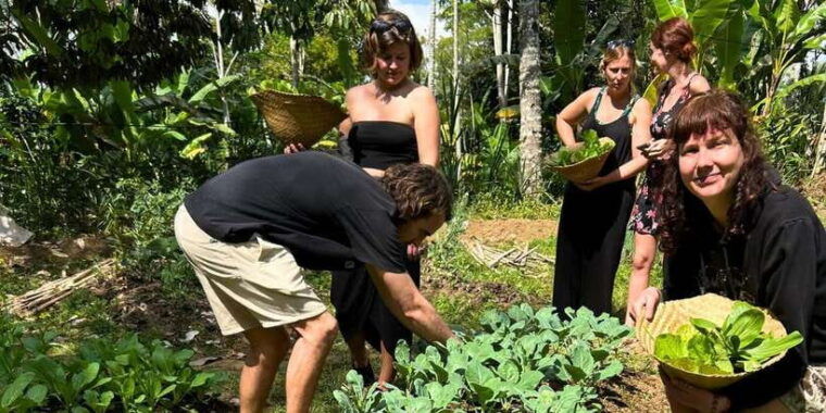 ubud-balinese-cooking-class-at-an-organic-farm