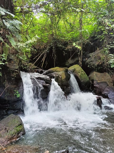 ubud-combination-full-day-ubud-tour-with-private-guide
