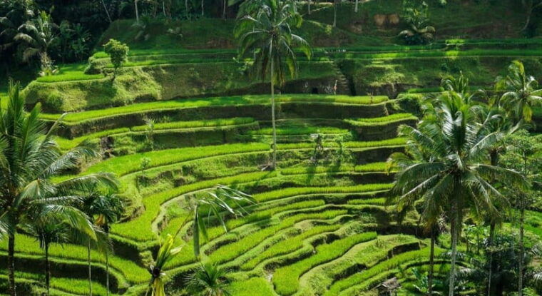 ubud-customized-itinerary-tours-with-knowledge-driver