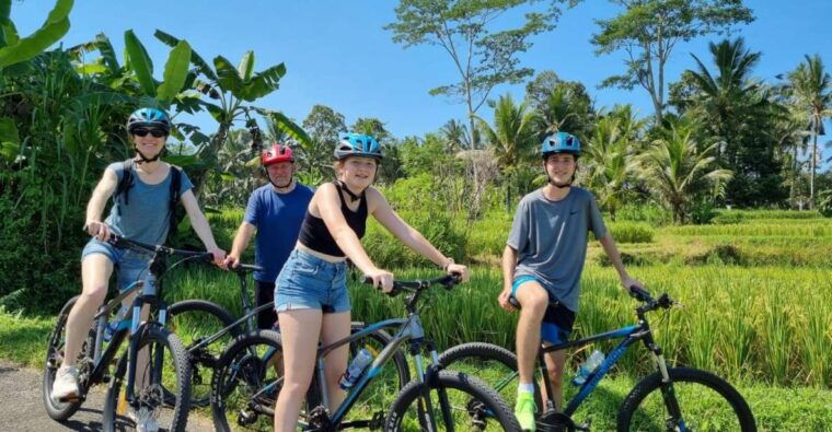 ubud-downhill-cycling-with-volcano-rice-terraces-and-meal