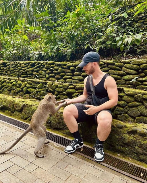 ubud-monkey-forest-rice-terrace-and-tanah-lot-sunset-tour