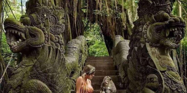 ubud-monkey-forest-temple-rice-terrace-and-art-village
